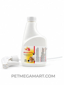 Respiratory Support - Dr S Wheeze Eeze