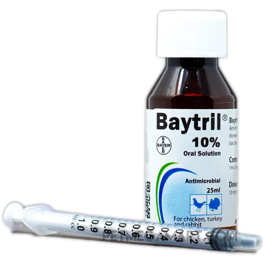 Baytril 10% oral solution bottle for birds (enrofloxacin veterinary antibiotic)