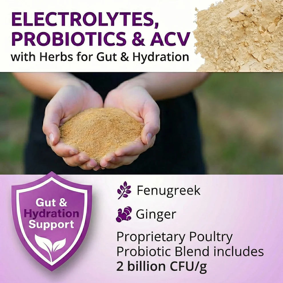 Buff Clucks AquaBoost Electrolytes & Probiotics for Chickens