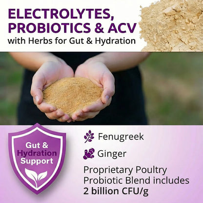 Buff Clucks AquaBoost Electrolytes & Probiotics for Chickens