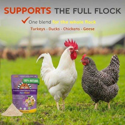 Buff Clucks AquaBoost Electrolytes & Probiotics for Chickens