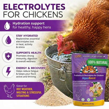 Buff Clucks AquaBoost Electrolytes & Probiotics for Chickens