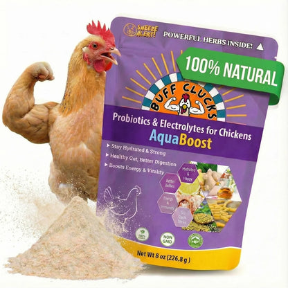 Buff Clucks AquaBoost Electrolytes & Probiotics for Chickens