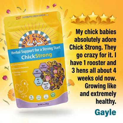 Buff Clucks ChickStrong Herbal Support for Baby Chicks