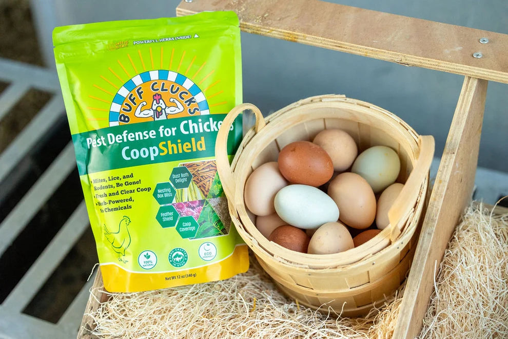 Buff Clucks CoopShield Herbal Pest Defense for Chickens