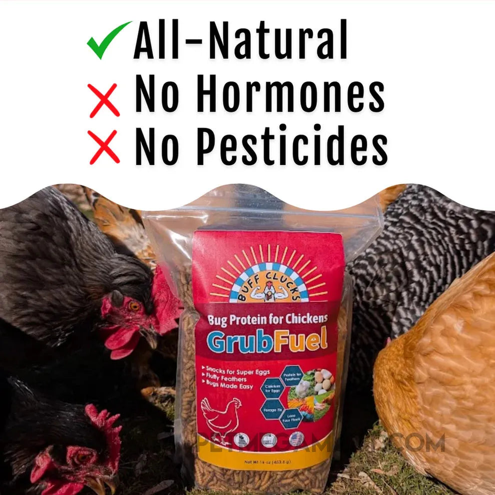 Buff Clucks GrubFuel - Soldier Fly Larvae for Chickens