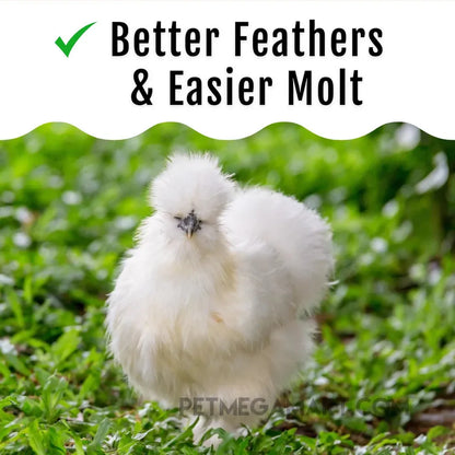 Buff Clucks GrubFuel - Soldier Fly Larvae for Chickens