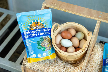 Buff Clucks Herb Supplement for Backyard Chickens