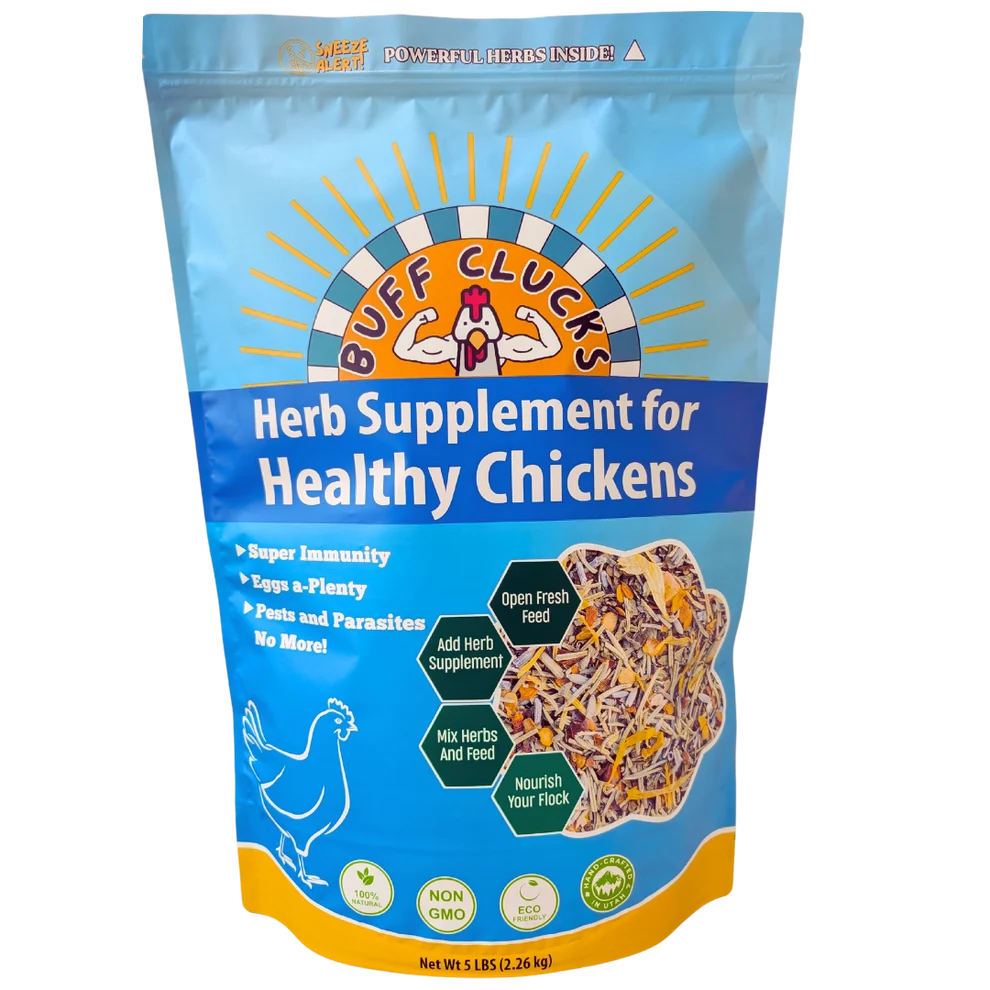 Buff Clucks Herb Supplement for Backyard Chickens
