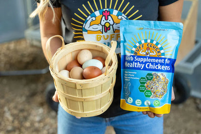 Buff Clucks Herb Supplement for Backyard Chickens