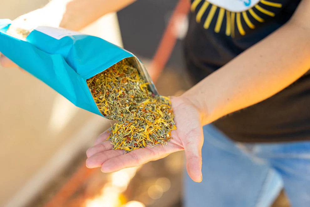 Buff Clucks Herb Supplement for Backyard Chickens