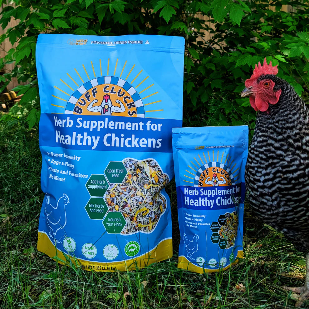 Buff Clucks Herb Supplement for Backyard Chickens