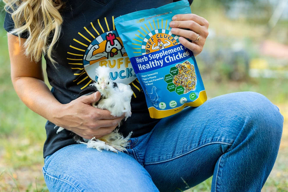 Buff Clucks Herb Supplement for Backyard Chickens