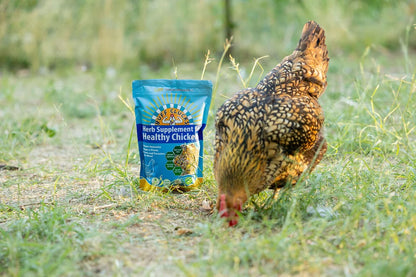 Buff Clucks Herb Supplement for Backyard Chickens