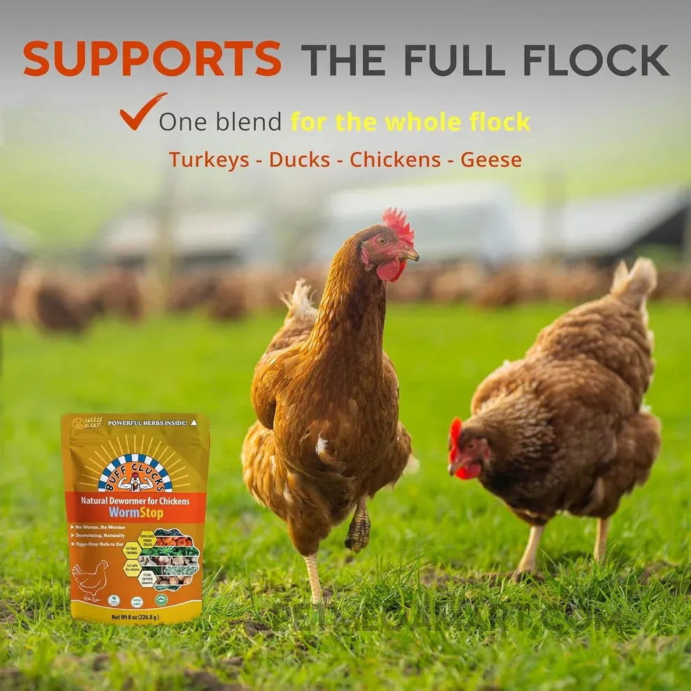 Buff Clucks WormStop for Chickens - 8 oz