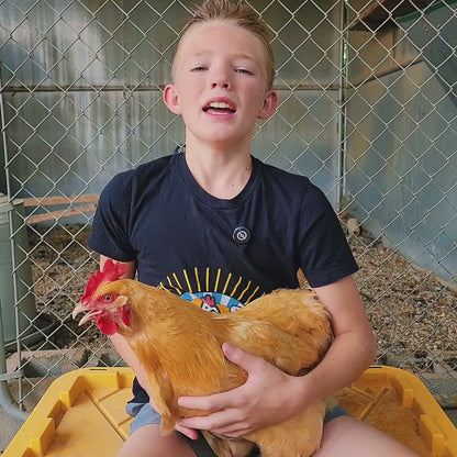Buff Clucks Herb Supplement for Backyard Chickens