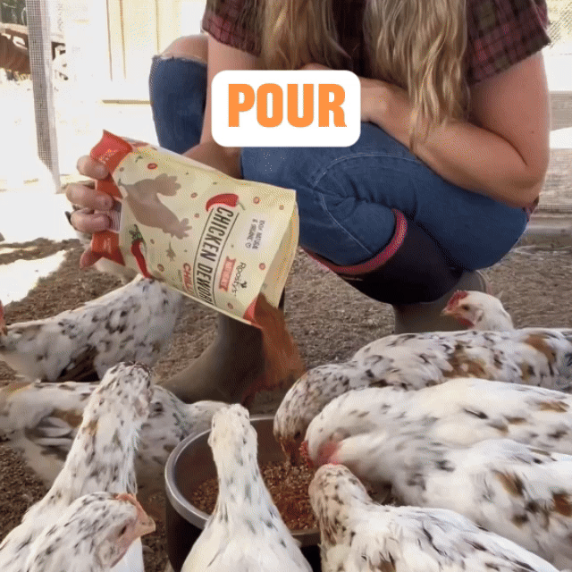 Roosty's Flock Armor Daily Worm Defense for Chicken Gut Health
