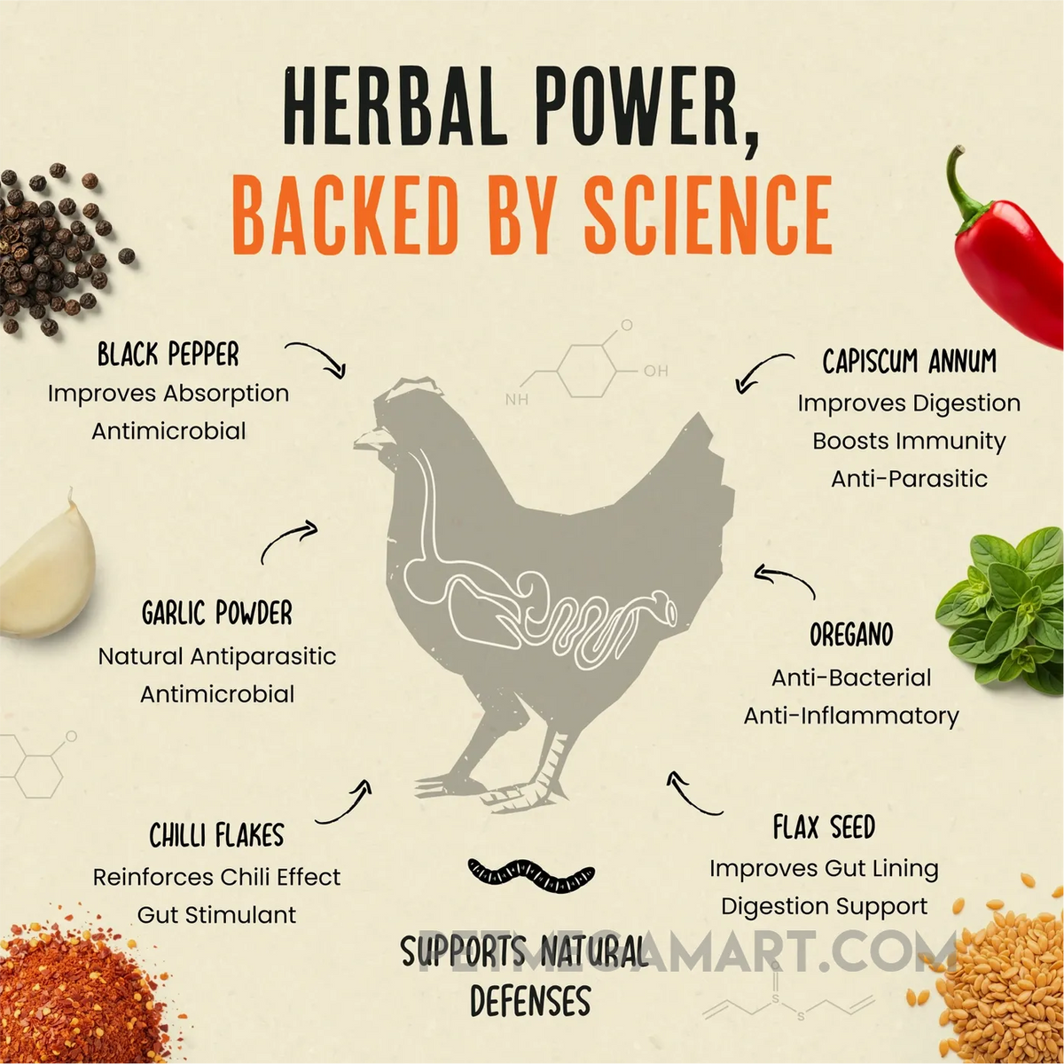 Roosty's Flock Armor Daily Worm Defense for Chicken Gut Health
