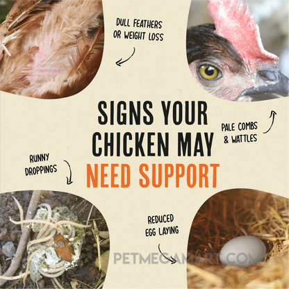 Roosty's Flock Armor Daily Worm Defense for Chicken Gut Health