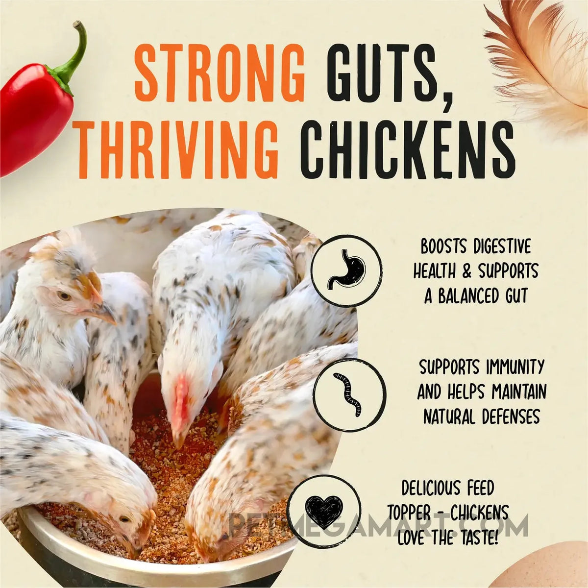 Roosty's Flock Armor Daily Worm Defense for Chicken Gut Health