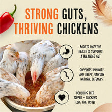 Roosty’s Flock Armor Daily Worm Defense & Gut Support