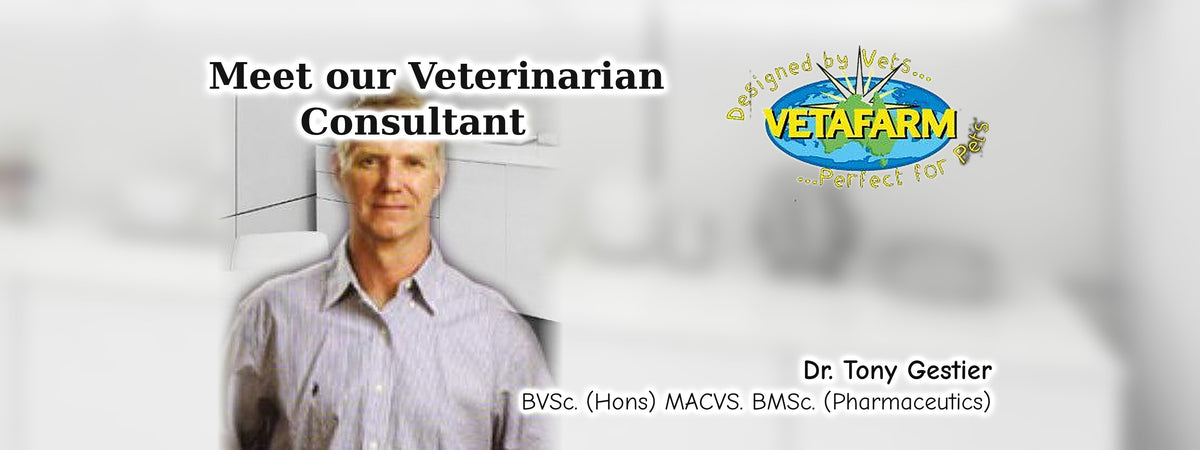 Meet our veterinarian consultant Dr. Tony Gestier - Vetafarm